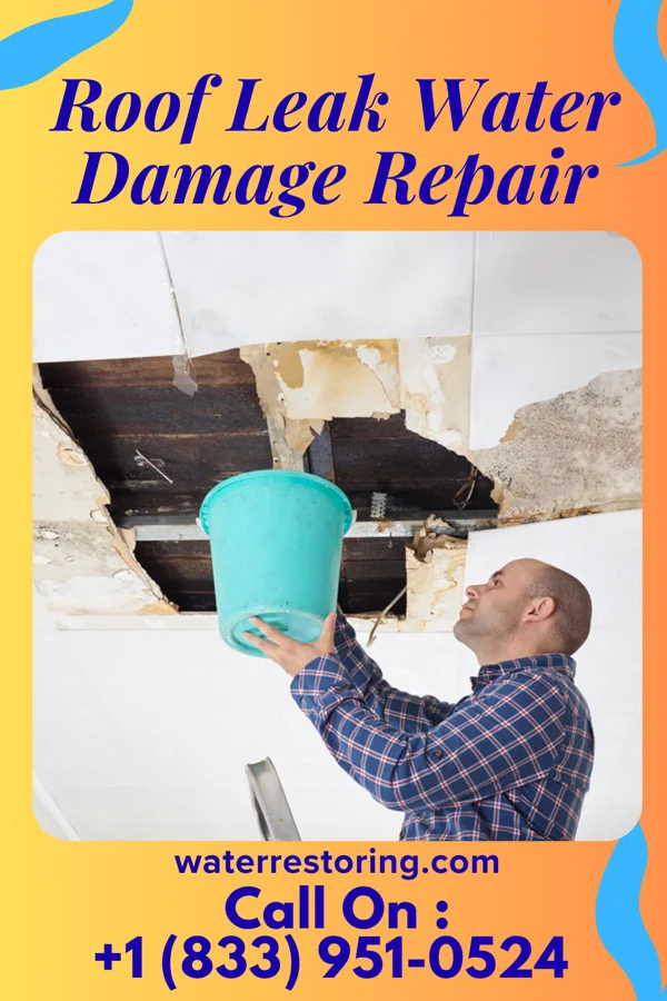 Roof Leak Water Damage Repair in Titanic, OK